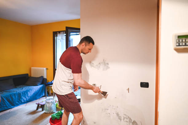 Best Commercial Mold Removal  in Medina, MN